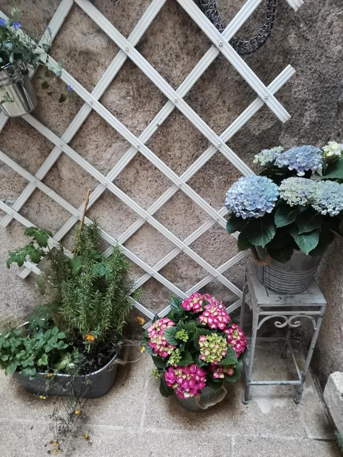 Le Nid De La Loire Apartment บลัวส์ ภายนอก รูปภาพ