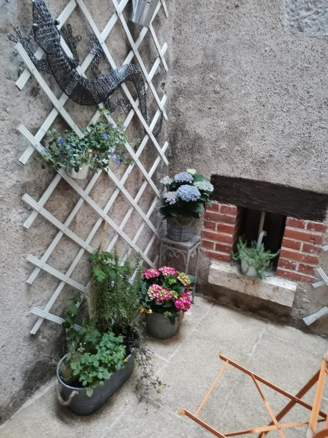 Le Nid De La Loire Apartment บลัวส์ ภายนอก รูปภาพ