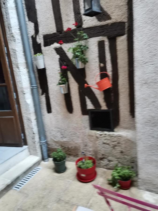 Le Nid De La Loire Apartment บลัวส์ ภายนอก รูปภาพ