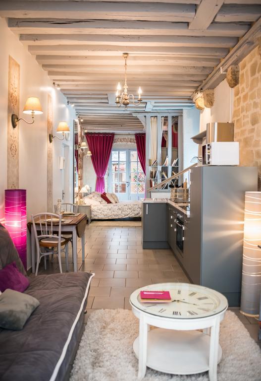 Le Nid De La Loire Apartment บลัวส์ ภายนอก รูปภาพ